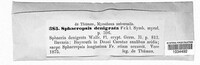 Gibberidea heliopsidis image